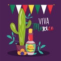 Mexican independence day, cactus tequila bottle bunting decoration, viva mexico is celebrated on september