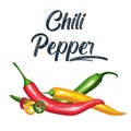 Mexican jalapeno hot chili pepper vector icon on white background. Colors hot chili peppers set. Royalty Free Stock Photo
