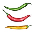 Mexican jalapeno hot chili pepper vector icon on white background. Colors hot chili peppers set. Royalty Free Stock Photo