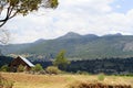 Mexican Landscape