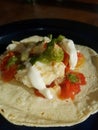 Mexican Lenguado Fish Stew Taco With Raw Salsa Verde Royalty Free Stock Photo
