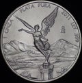 Mexican Libertad Silver Coin (Obverse)