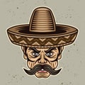 Mexican man head with mustache and in sombrero hat vector illustration in colored cartoon style Royalty Free Stock Photo