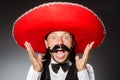 Mexican man wears sombrero isolated on the white Royalty Free Stock Photo