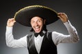 Mexican man wears sombrero isolated on the white Royalty Free Stock Photo