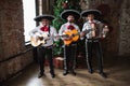 Mexican musician mariachi Royalty Free Stock Photo