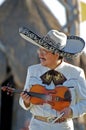 Portrait of a Mariachi Player Performing with a Violin for a Beach Audience Royalty Free Stock Photo