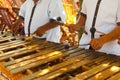 Mexican musicians playing a wooden marimba