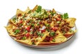 Mexican nachos with beef, guacamole, cheese sauce, peppers, tomato and onion in plate Royalty Free Stock Photo