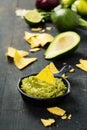 Mexican nachos chips with homemade fresh guacomole sauce