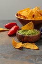 Mexican nachos with guacamole and chili