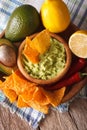 Mexican nachos and guacamole and ingredients closeup. vertical Royalty Free Stock Photo