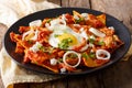 Mexican nachos with tomato salsa, chicken and egg close-up. horizontal Royalty Free Stock Photo