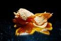 Mexican nachos tortilla chips heap, black background