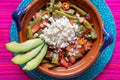 Mexican nopal cactus salad