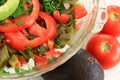 Mexican Nopal Cactus salad