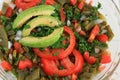 Mexican Nopal Cactus salad