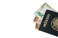 Mexican passport and money Royalty Free Stock Photo