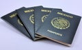 Mexican Passports Royalty Free Stock Photo