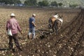 Two mexican peasants sowing the earth