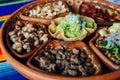 Mexican plate with different meat and guacamole Royalty Free Stock Photo