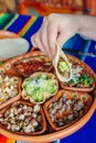 Mexican plate with different meat and guacamole Royalty Free Stock Photo