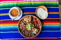 Mexican plate with different meat and guacamole Royalty Free Stock Photo