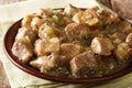 Mexican Pork Chile Verde is made of tender pieces of pork simmer