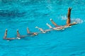 Mexican Queue Underwater Royalty Free Stock Photo