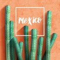 Mexican realistic background with cacti.