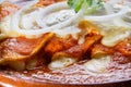 Mexican red enchiladas Royalty Free Stock Photo