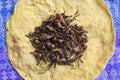 Mexican roasted grasshoppers on tortilla