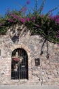 Mexican rock wall with flower