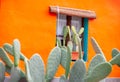 Mexican rustic house