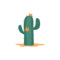 Green wild plant mexican saguaro cactus growing at desert a vector illustration.
