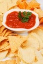 Mexican salsa with corn and potato chips Royalty Free Stock Photo