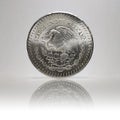 Mexican Silver Libertad, Reverse, Semi-, Reflection Royalty Free Stock Photo