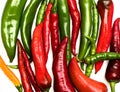 Mexican spicy peppers of long shape. Set of chili peppers Royalty Free Stock Photo