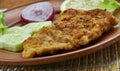 Mexican Steak Milanesa Royalty Free Stock Photo