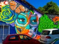 Mexican Street Art Mural Mexico Puerto Vallarta