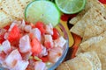 Mexican style Ceviche Royalty Free Stock Photo