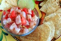 Mexican style Ceviche Royalty Free Stock Photo