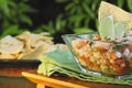 Mexican Style Ceviche Royalty Free Stock Photo