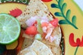 Mexican style Ceviche on a tortilla chip Royalty Free Stock Photo