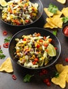 Mexican style salad of black beans, lentils, corn, tomato and lettuce with a salsa and tortilla chips Royalty Free Stock Photo