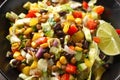 Mexican style salad of black beans, lentils, corn, tomato and lettuce with a salsa and tortilla chips Royalty Free Stock Photo