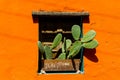 Mexican style window Royalty Free Stock Photo