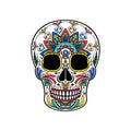 Mexican sugar skull with colorful floral ornament, Day of the death vector Illustration