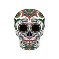 Mexican sugar skull with colorful floral ornament, Dia de Muertos vector Illustration