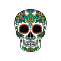 Mexican sugar skull with colorful floral pattern, Day of the death vector Illustration